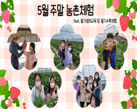 사진6